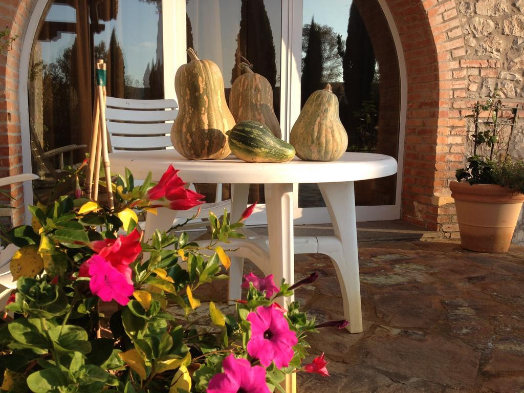 Podere Il Mulino Pieve di Santa Luce Exterior foto