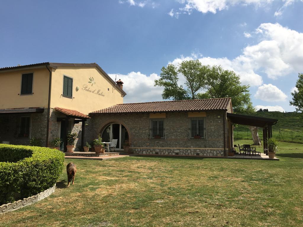 Podere Il Mulino Pieve di Santa Luce Exterior foto